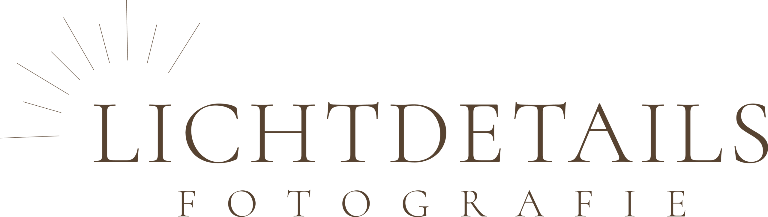 Lichtdetails Fotografie Fürth Logo